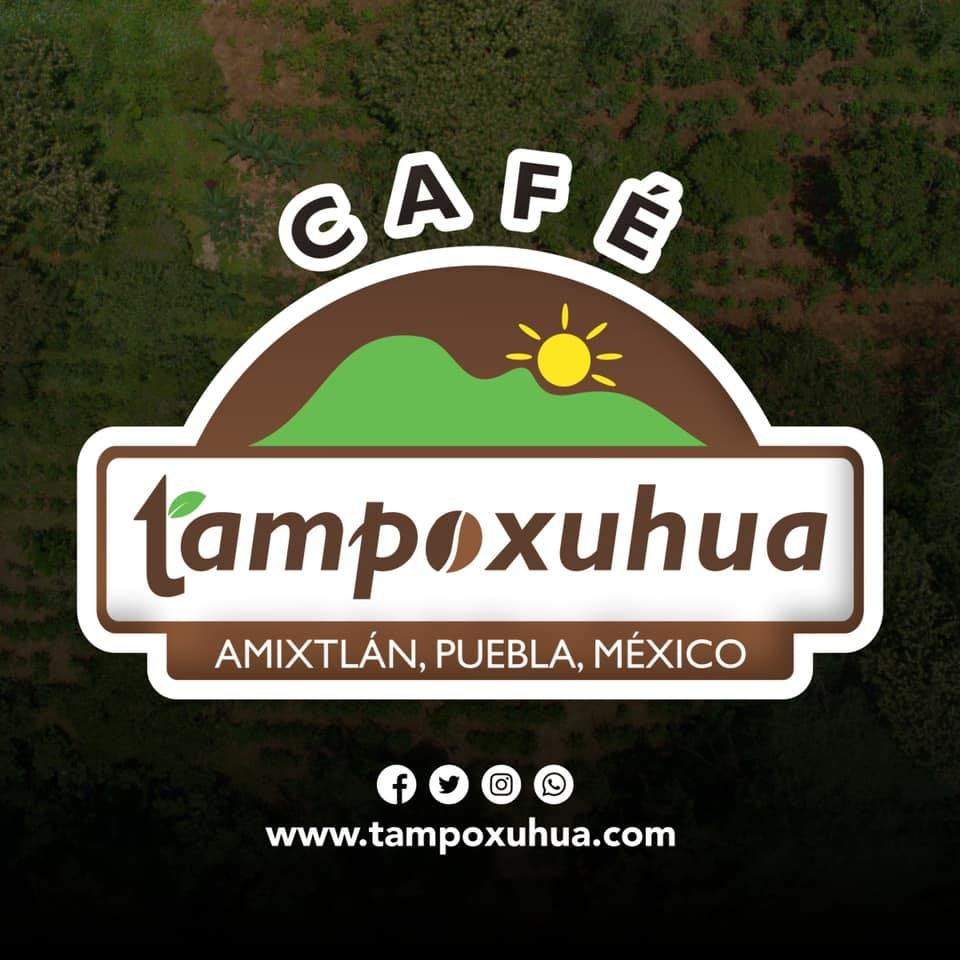 Logo Café Tampoxuhua